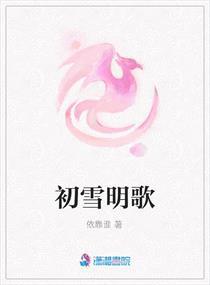 明歌新曲，现代音乐文化的独特魅力探索