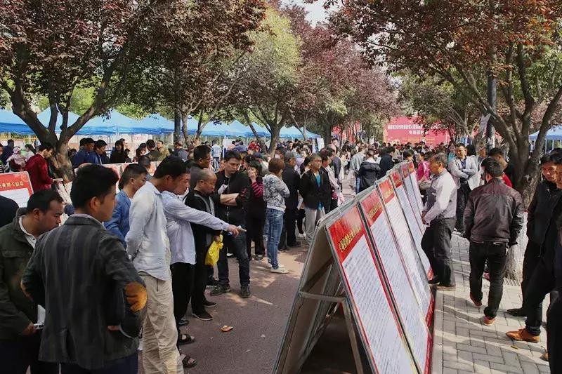 武清杨村最新招聘信息及启程探索自然美景之旅招募启事