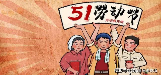 五一旅游热潮下的市场洞察与行情分析