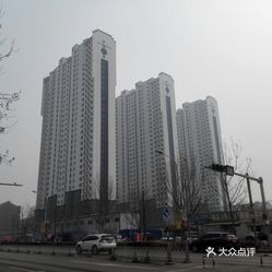 苏堤杭城最新动态，掌握杭州新资讯，一览苏堤新风采