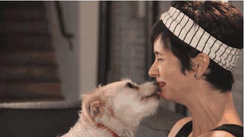 科技重塑人与犬的共享世界，最新狗图片欣赏