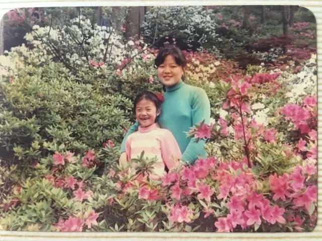 草群社区最新主论坛，邻里日常趣事与情感纽带的交流平台