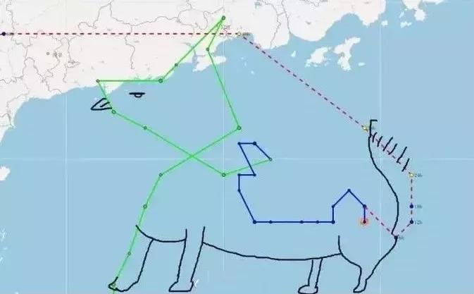 雷州台风最新消息，夏日故事中的温情与风雨同行