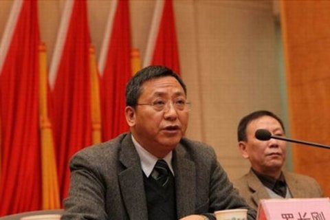 武汉罗长刚最新判决及其分析概述