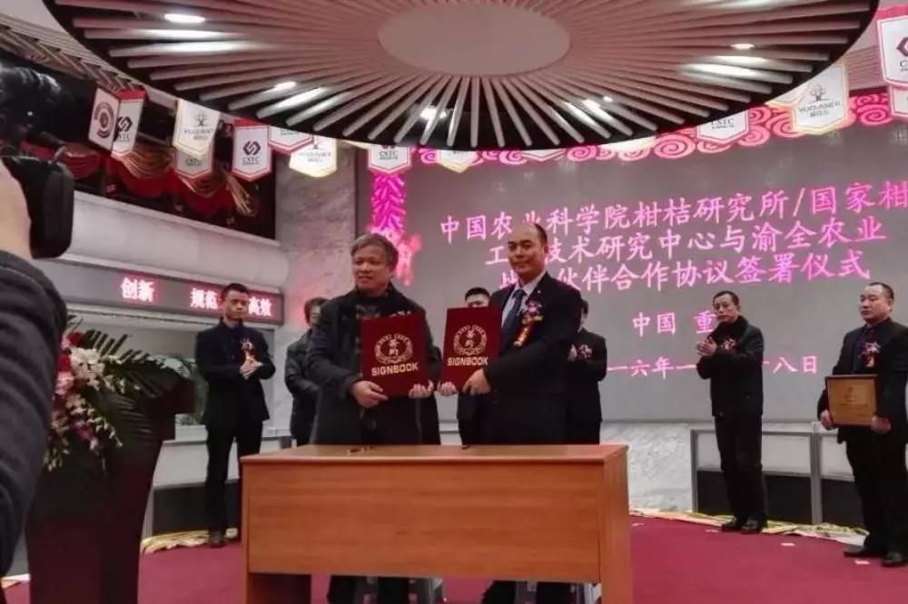公司上市资本,公司上市资本，详细步骤指南