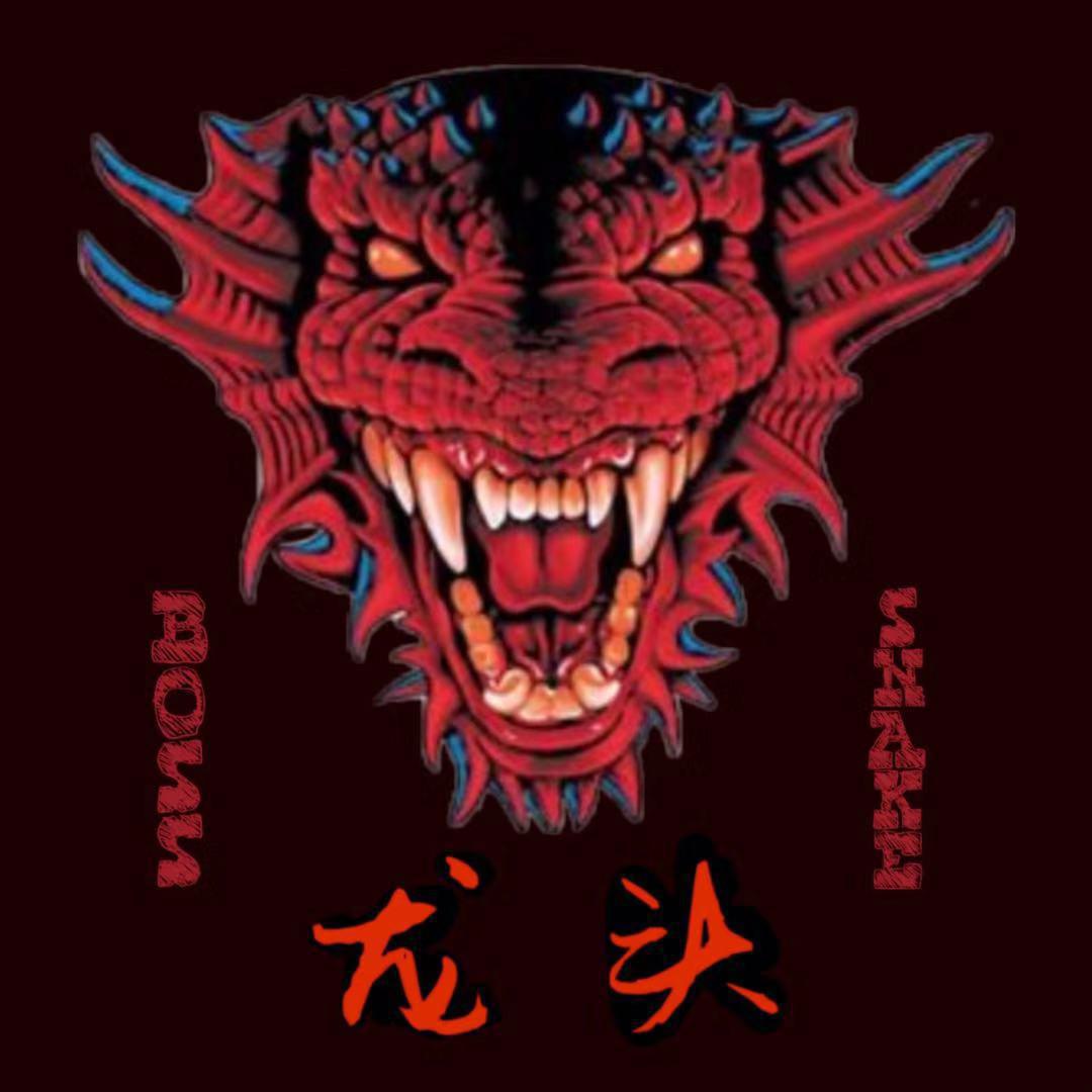 龙头章节更新，深度观点阐述与最新内容揭秘