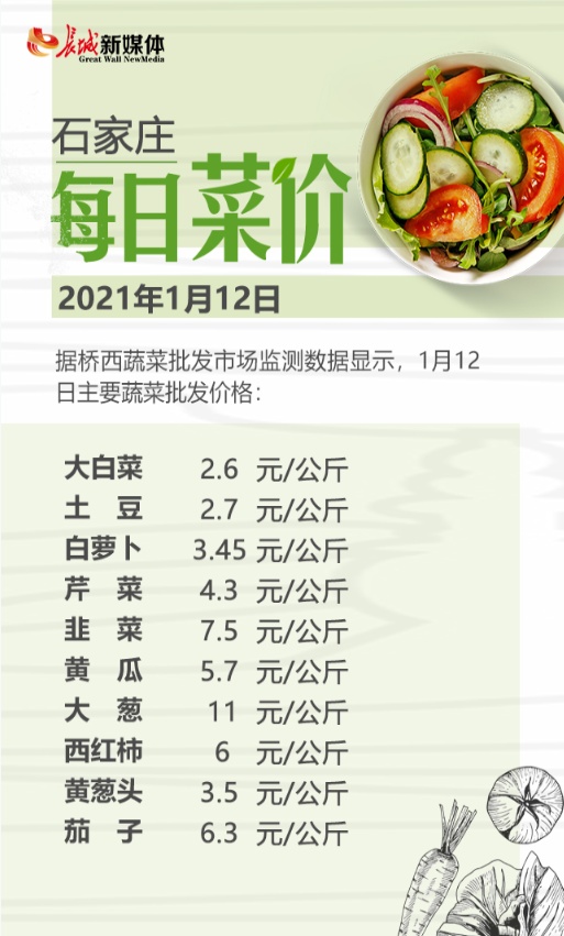 白菜最新价格行情，融入日常生活的温馨波动