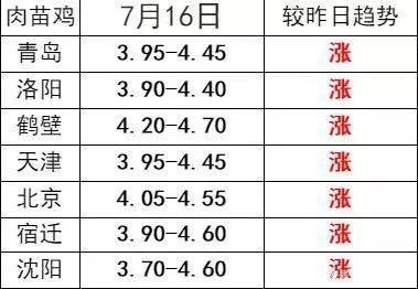 全面指南，掌握鸡市场价格的最新动态与趋势分析