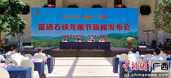 平南新闻回顾，探索平南最新动态与热点事件