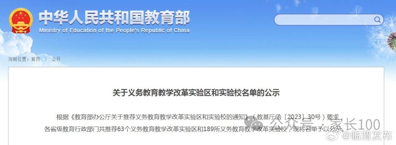 临渭区教育网最新动态，小巷深处的独特教育风景与特色小店的奇妙故事