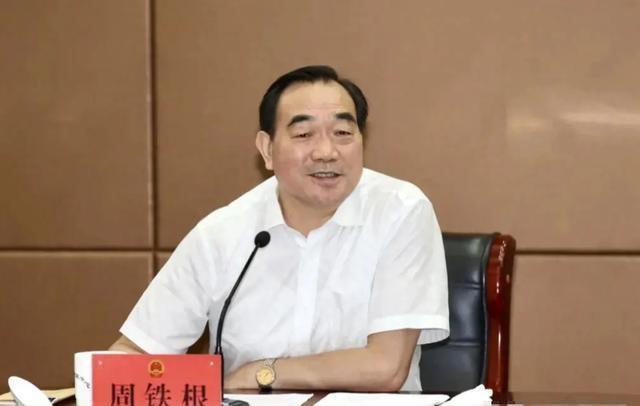 徐矿人违法行为深度剖析与警示，最新案例揭示的警示与反思
