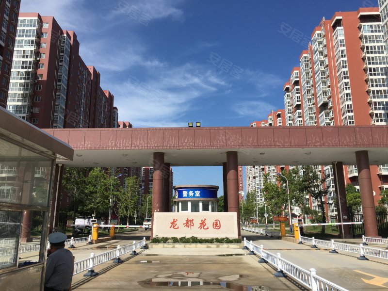 南阳龙都花园最新房价概览，购房指南与价格走势分析